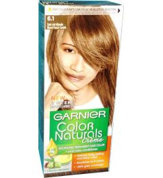 Garnier Color Naturals No. 6.1 (dark Ash Blonde)