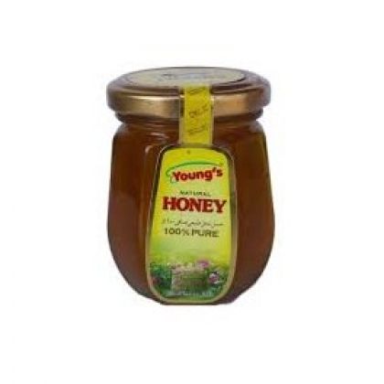 Young s Honey (240G)