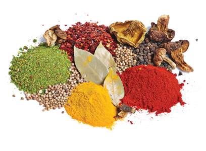 Buy Spices online at Gomart pakistan